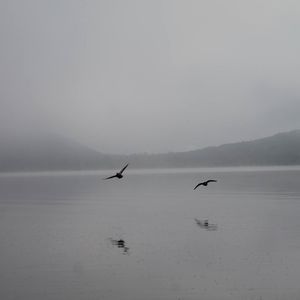 Meet your Posher, Marie-claude